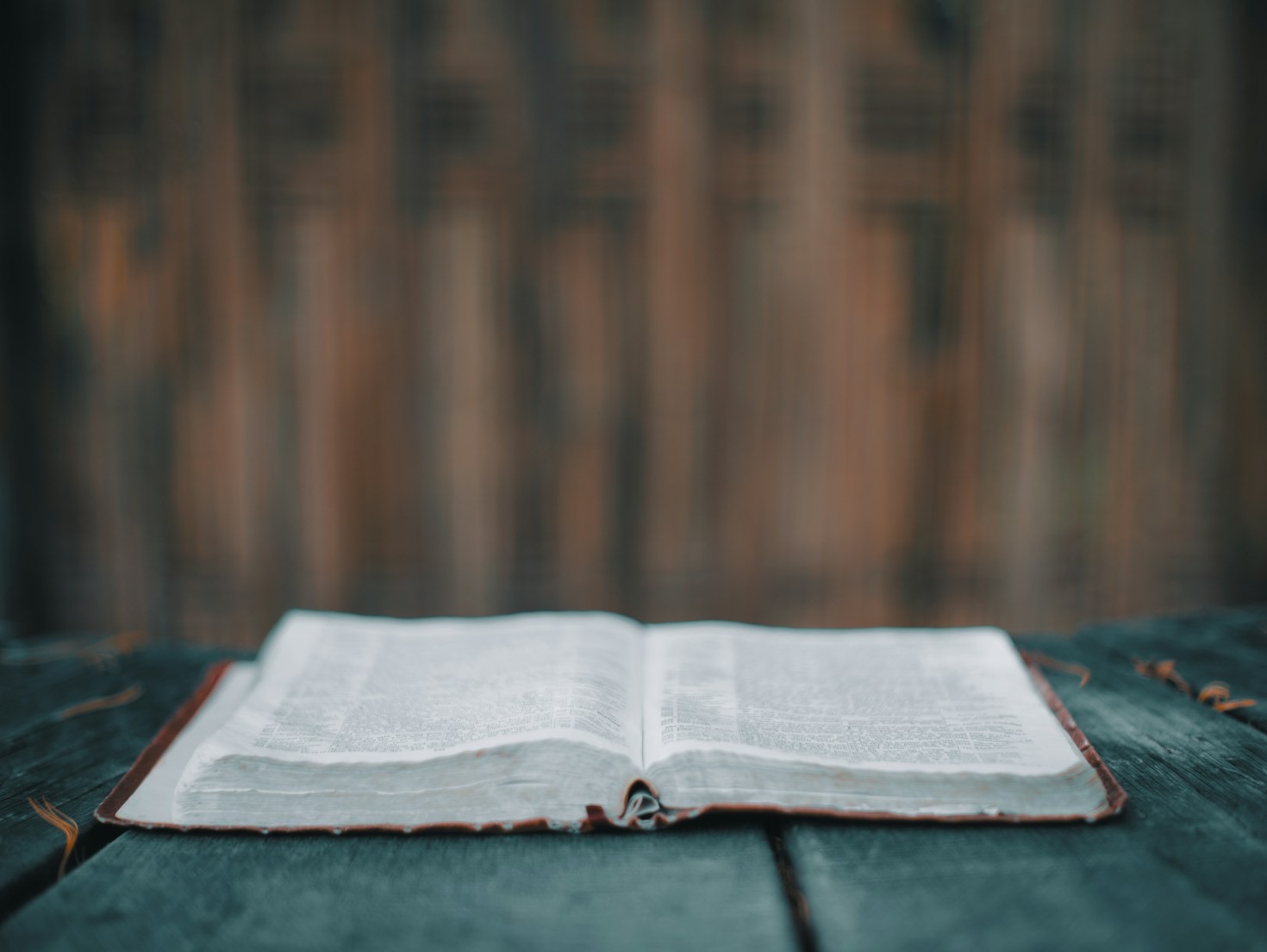 Why Romance Novels Heal The Heart